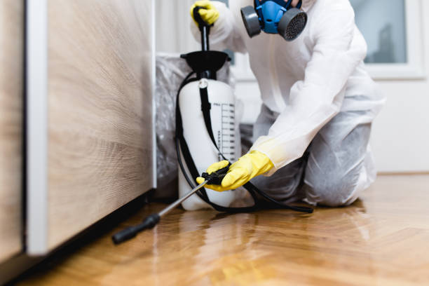 Best Best Pest Control Companies  in Mart, TX
