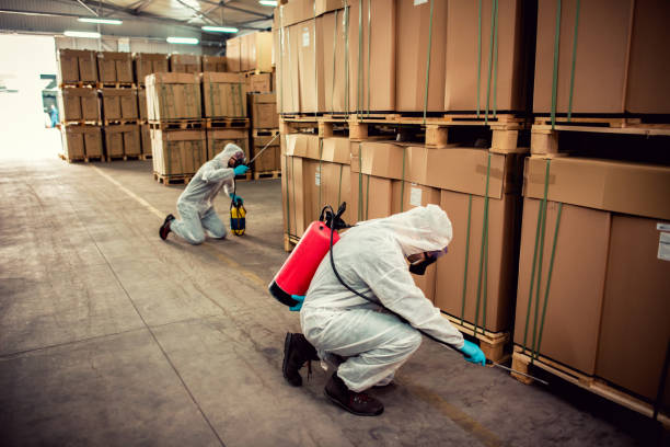 Best Termite Control Services  in Mart, TX