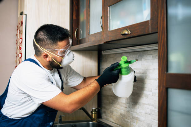 Best Insect Control  in Mart, TX