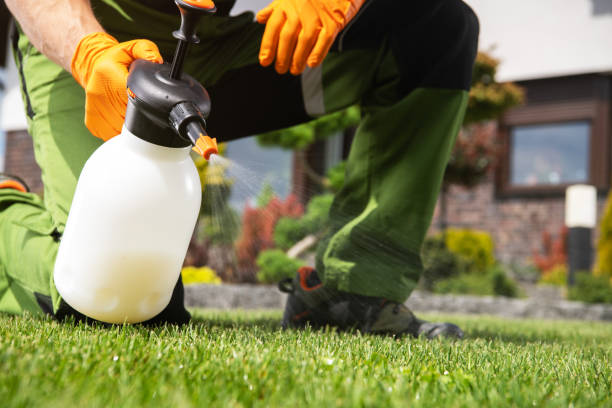 Best Ant Control Services  in Mart, TX