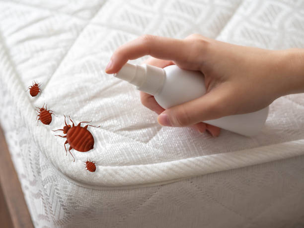 Best Best Pest Control Companies  in Mart, TX