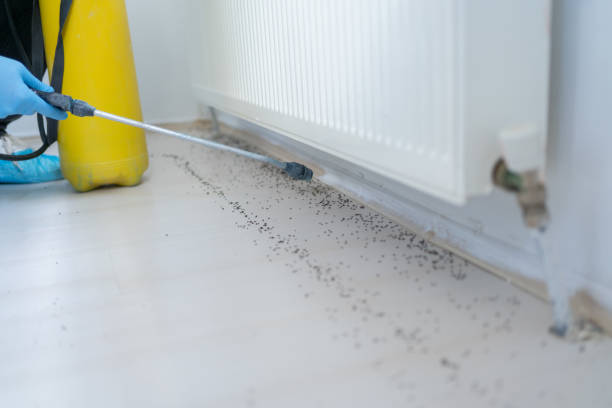 Pest Control Cost in Mart, TX
