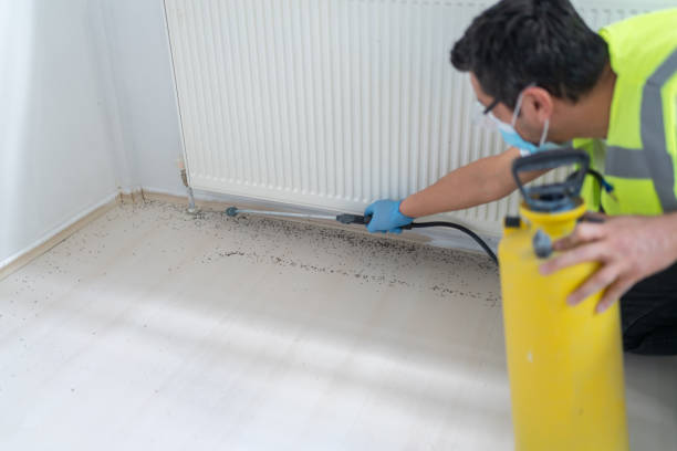 Best Residential Pest Control  in Mart, TX