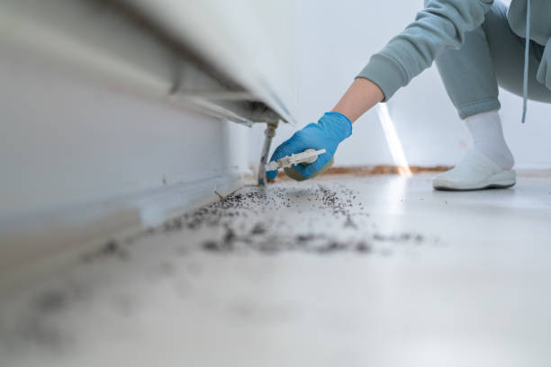 Best Rat Extermination Near Me  in Mart, TX