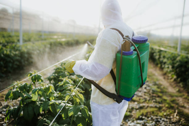 Best Flea Control Services  in Mart, TX